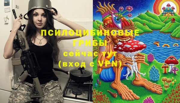 бошки Алексеевка
